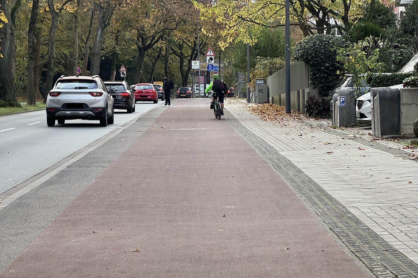 Ludwigsallee frei vom Laub Frisch vom Laub geräumt