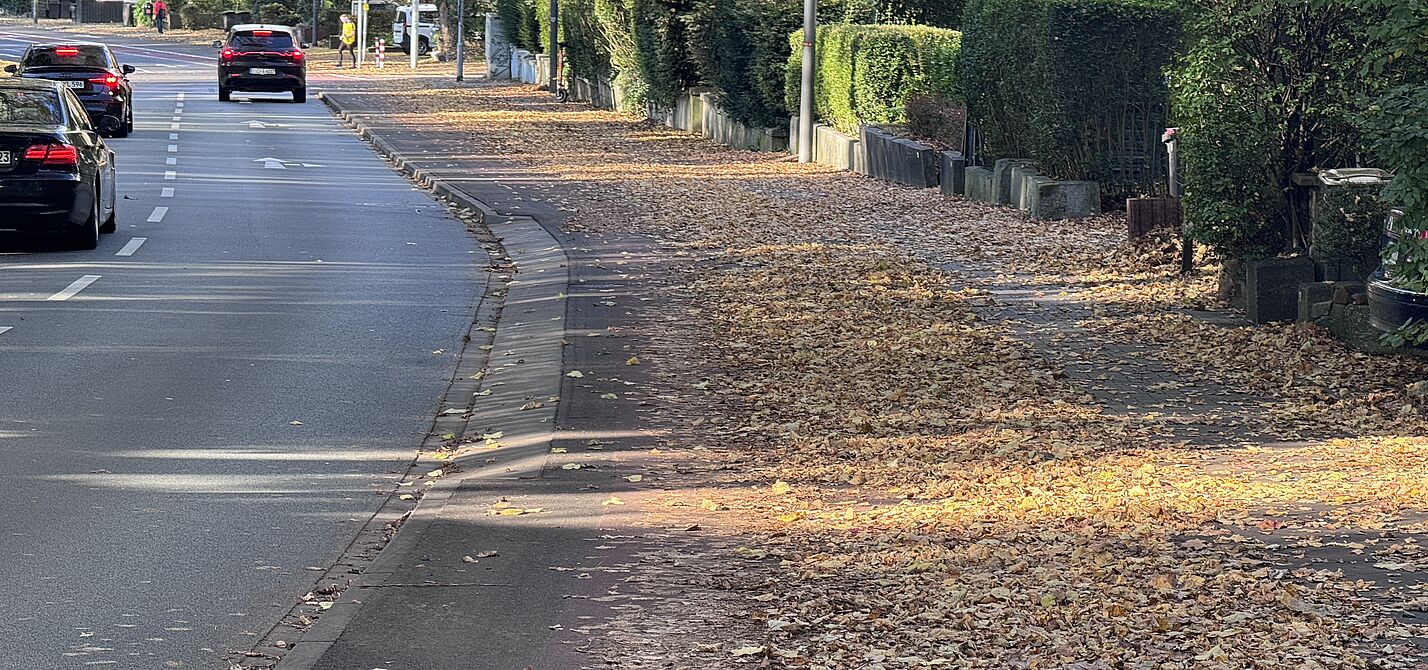 Von Laub gesäumte Ludwigsallee Radweg auf der Ludwigsallee, nur ein schmaler Streifen bleibt.