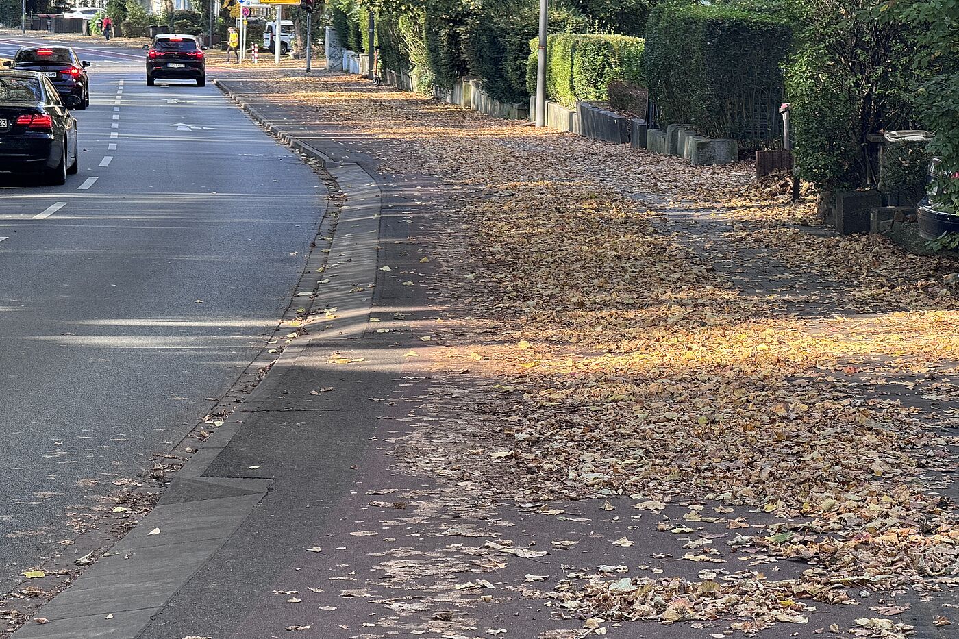 Von Laub gesäumte Ludwigsallee Radweg auf der Ludwigsallee, nur ein schmaler Streifen bleibt.