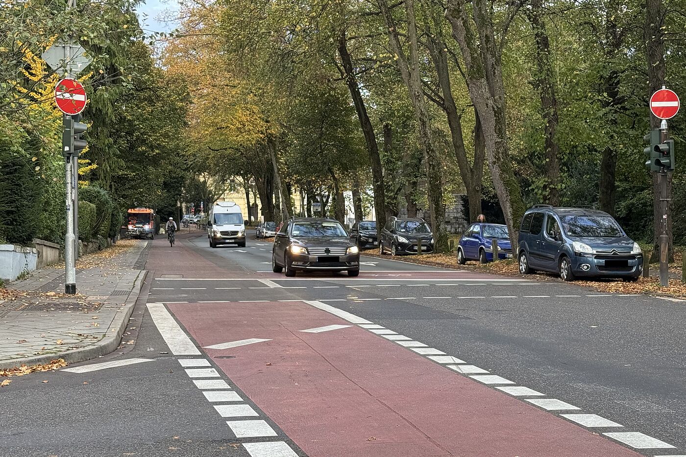 Ludwigsallee mit Kehrmaschine Geräumte Ludwigsallee
