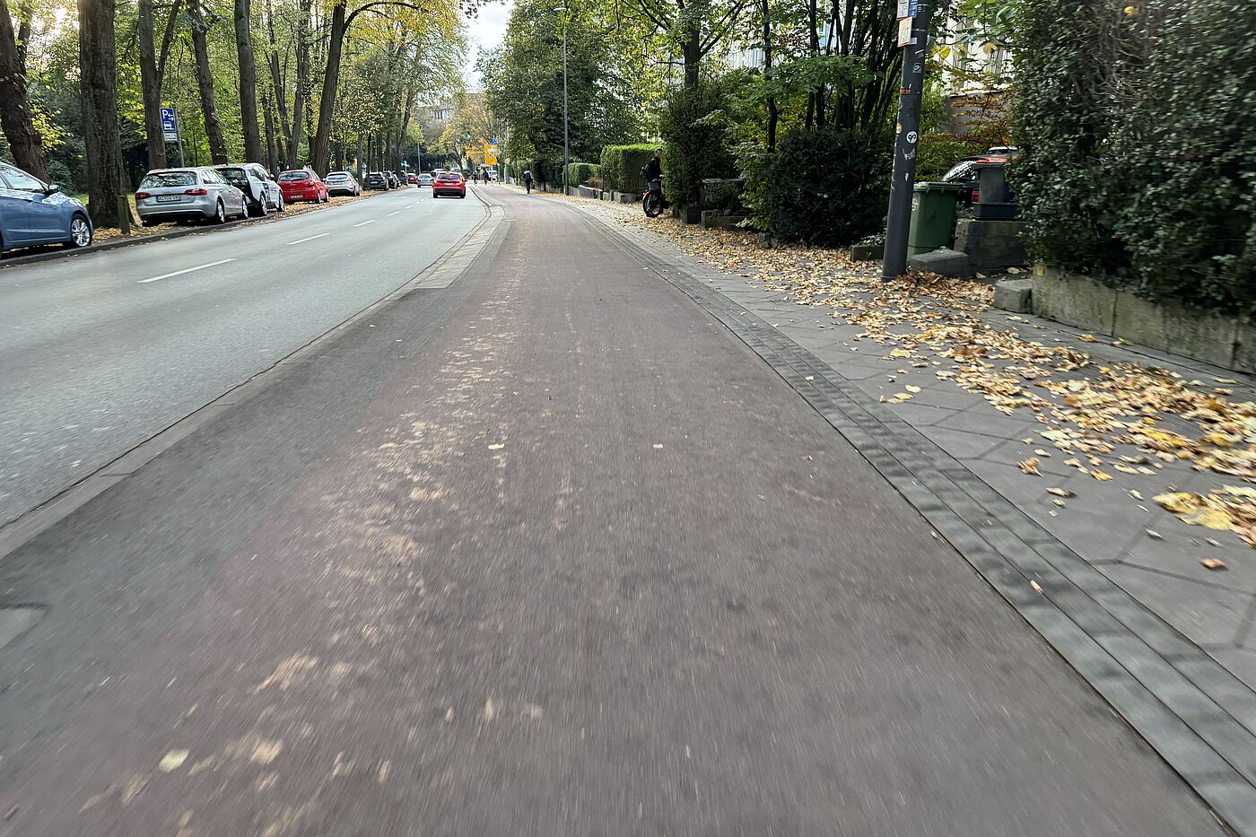 Ludwigsallee ohne Laub Ludwigsallee vom Laub geräumt
