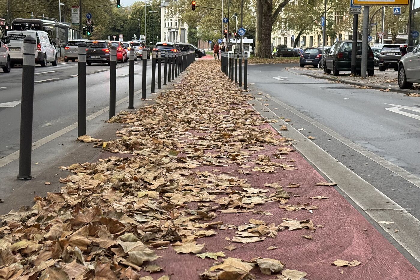 Heinrichsallee Laub Laub ist noch da auf der Heinrichsallee