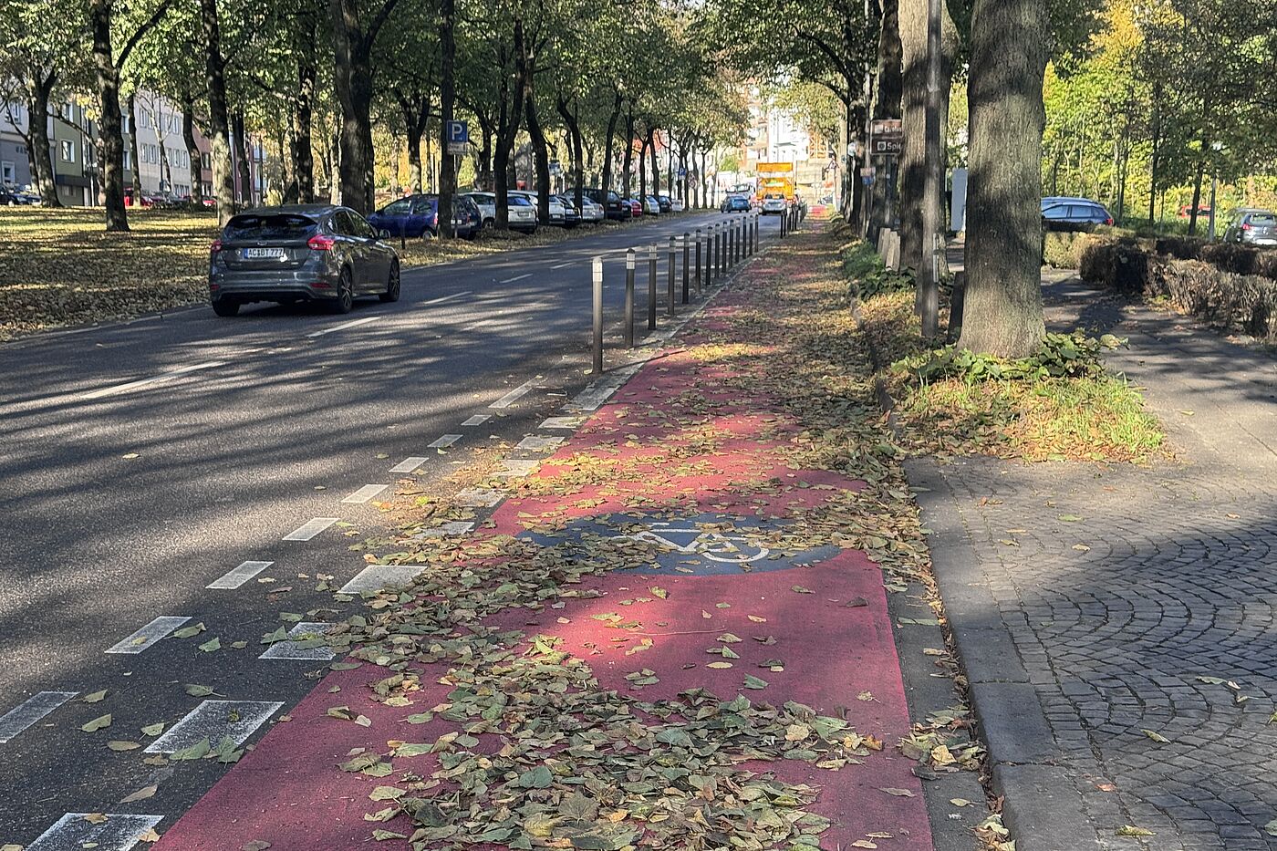 Von Laub gesäumte Monheimsallee Geschützter Radfahrstreifen in der Monheimsallee